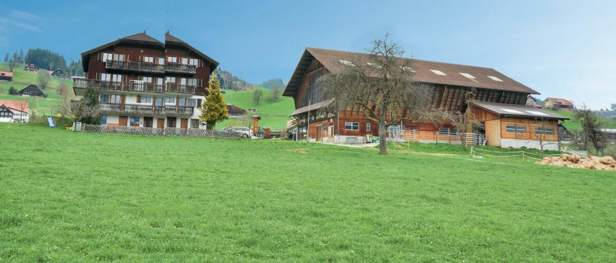 Nach Monaten des Melkens Nach Monaten des Melkens