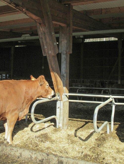 Tous les éléments conducteurs comme les barrières, le cornadis, le brasseur et autres appareils électriques doivent être reli&#...