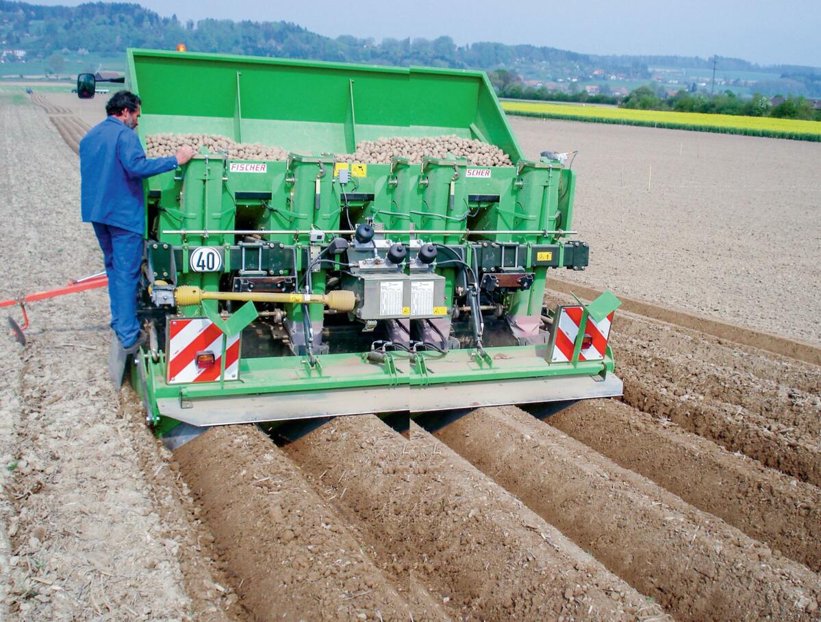 Kartoffelsaat im All-in-one Verfahren.