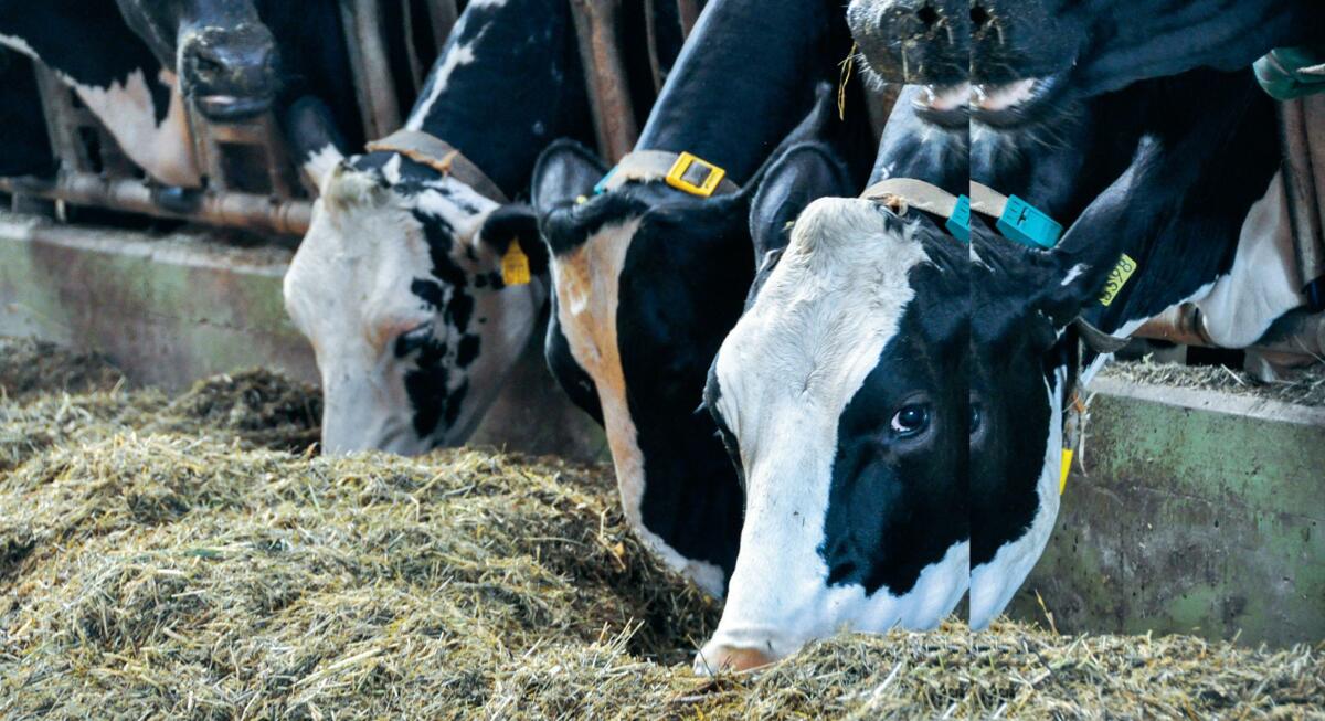 Au cours de la phase de d&#xE9;marrage, il s&#x2019;agit de r&#xE9;duire au maximum les risques d&#xE9;coulant d&#x2019;un bilan &#xE9;nerg&#xE9;tique n...