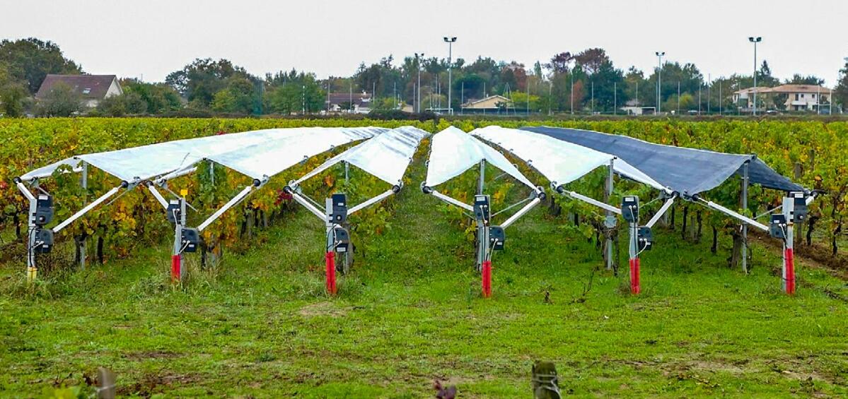 Le syst&#xE8;me de protection Viti-Tunnel permet de couvrir les rangs de vigne &#xE0; l&#x2019;approche de la pluie ou de la gr&#xEA;le.&#xA0;