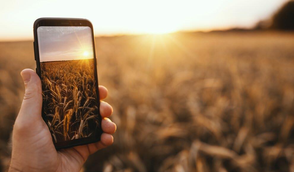 Pflanzenfelder mit dem Smartphone analysieren