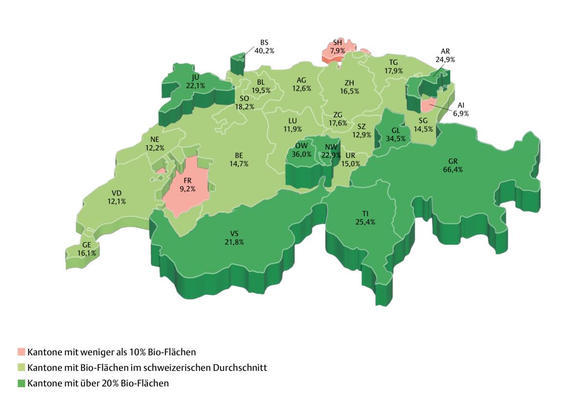 In den Bergen spriesst die Knospe