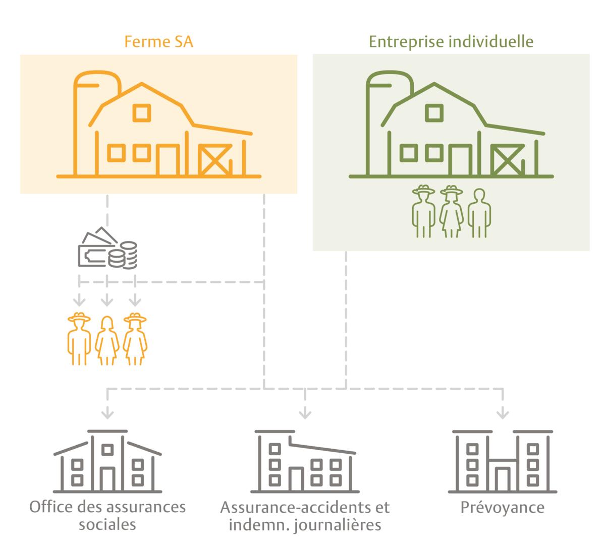 Penser aux assurances obligatoires