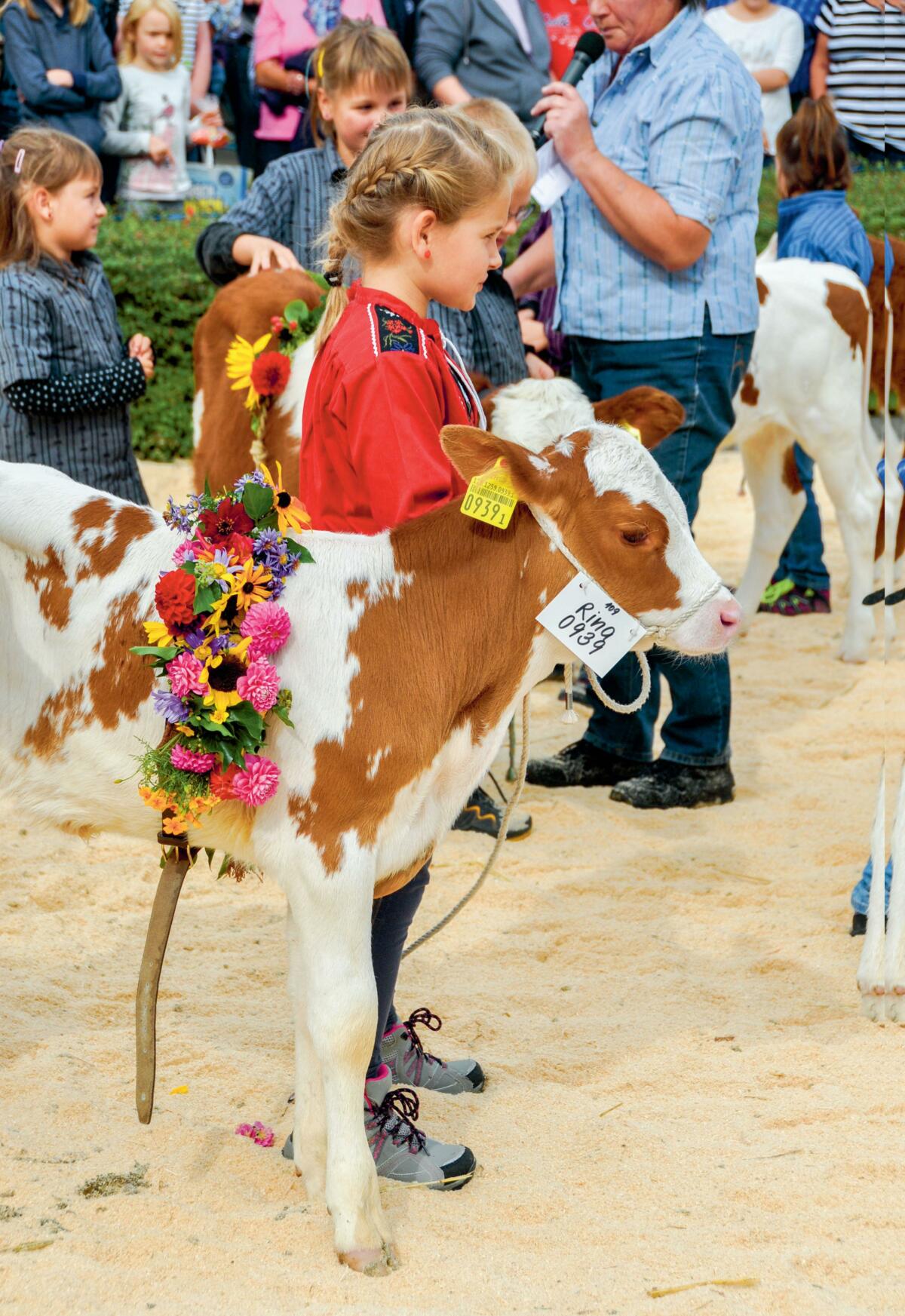 Des traditions vivantes