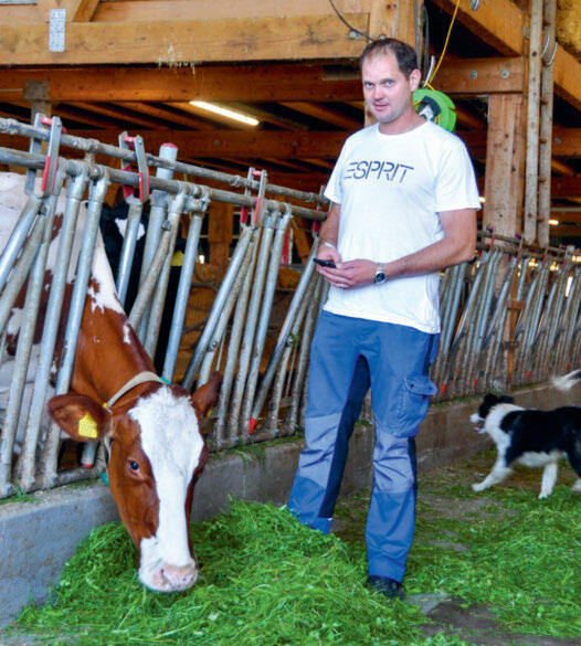 Herdenmanagement – Lely Horizon weiss Rat