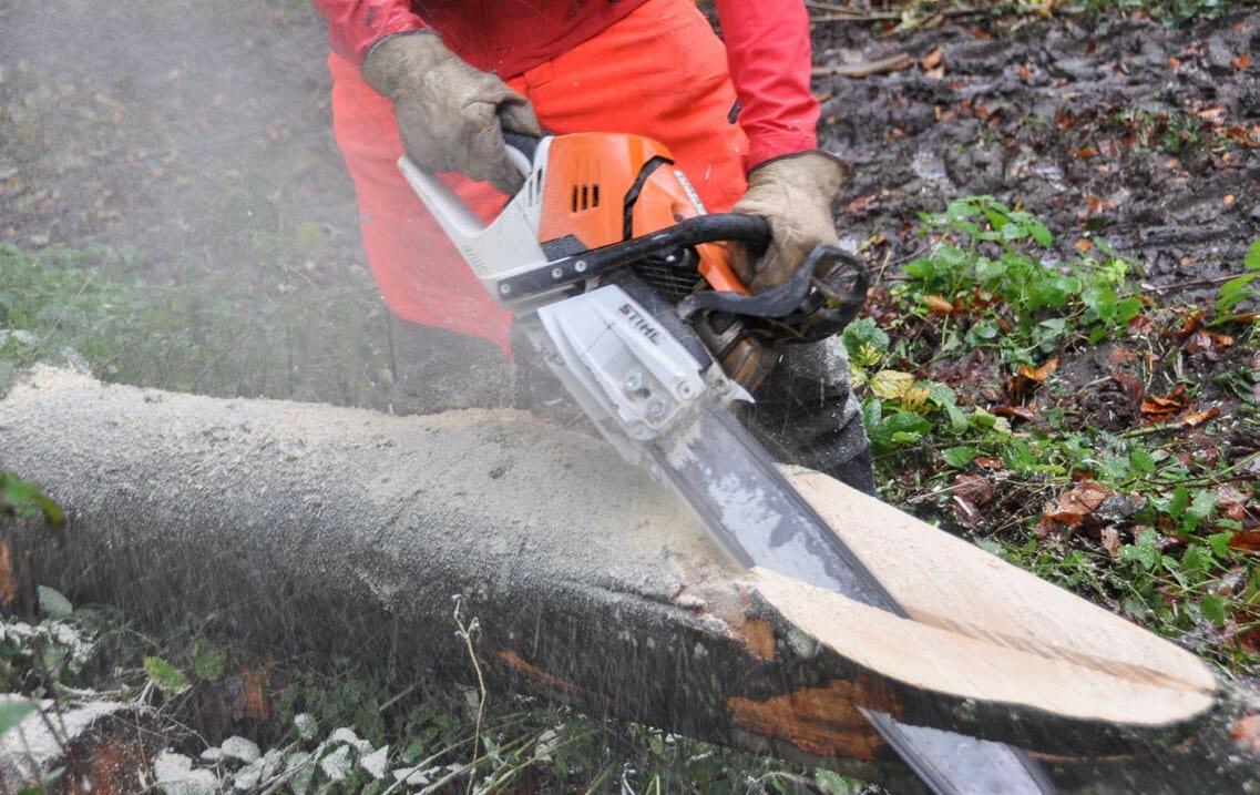 Une puissance &#xE9;lev&#xE9;e et un poids minimal sont exig&#xE9;s pour une tron&#xE7;onneuse.