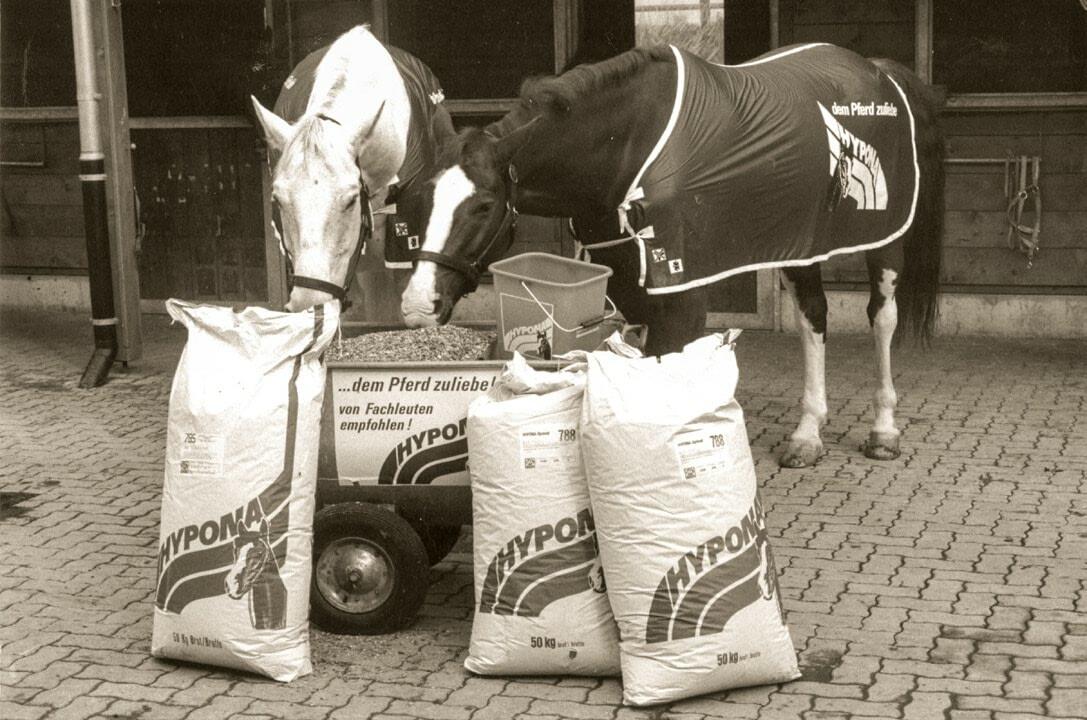 Hypona &#x2013; pour le bien des chevaux depuis 1985.