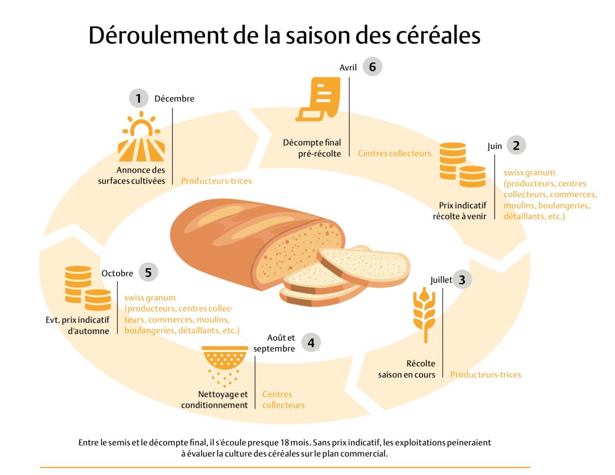 D’où vient le pain suisse ?