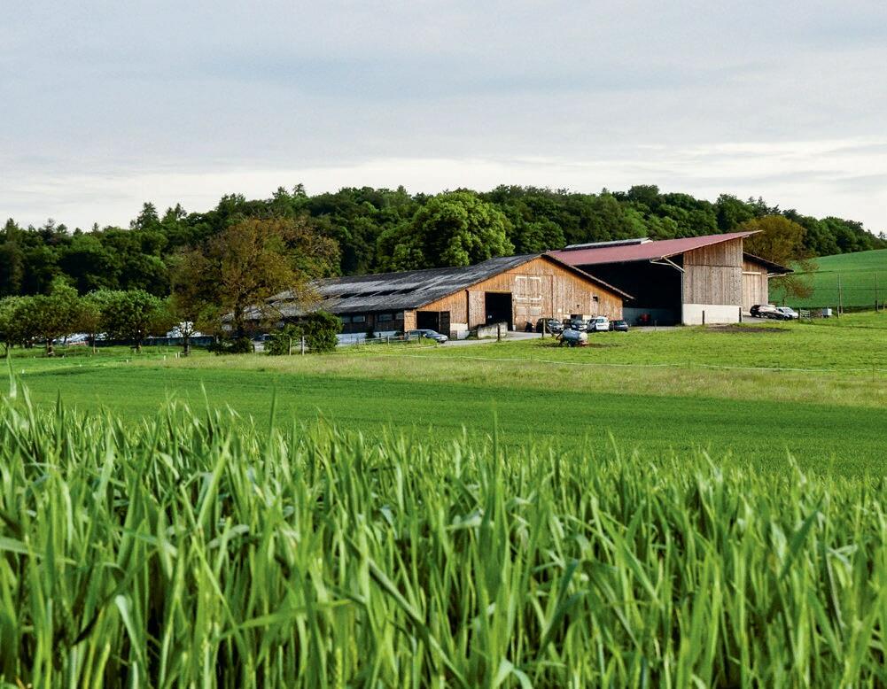 La valeur de rendement a été remaniée