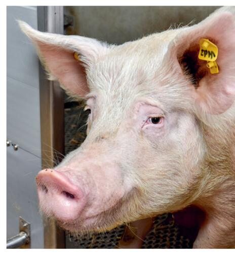 Le succès est dans le détail