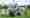 combined_7633038_0_7633039_0.jpg