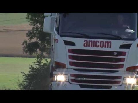 Chauffeur bei der Anicom AG