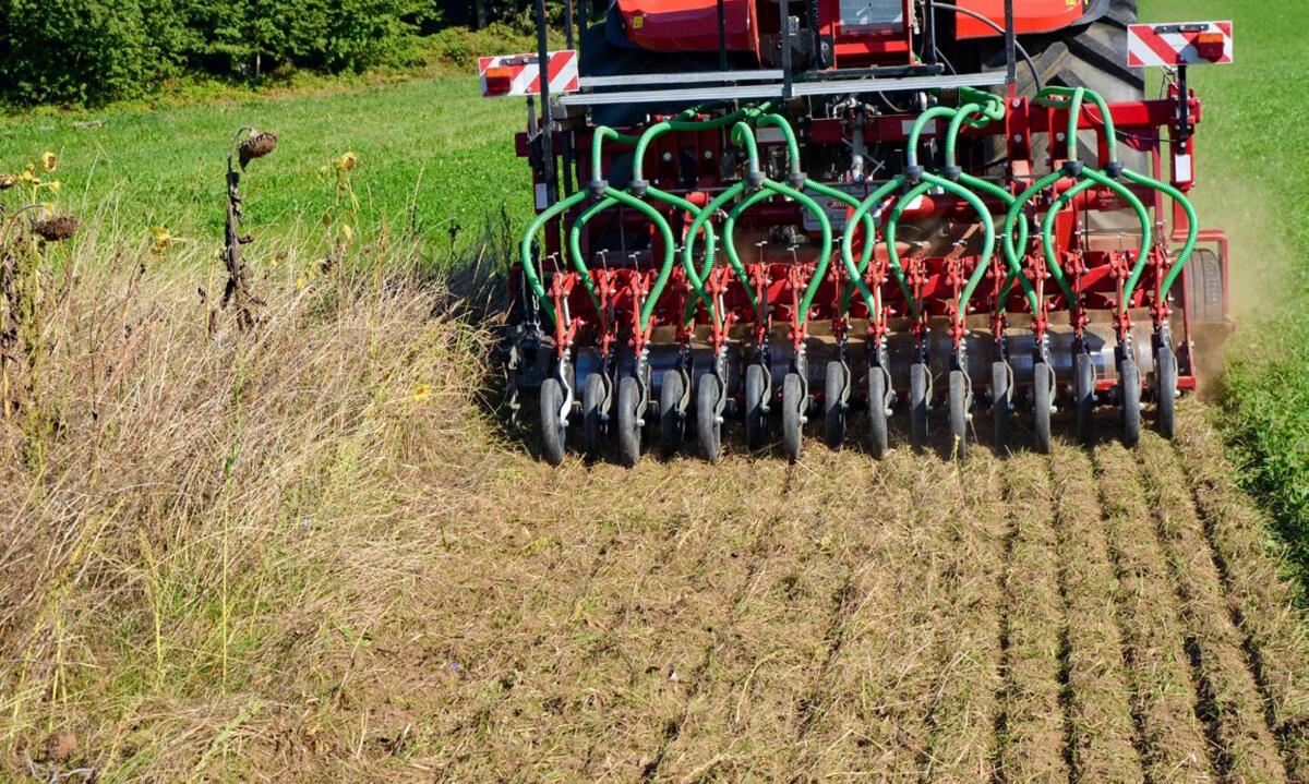 Das Einarbeiten der Vegetation in der oberen Bodenschicht f&#xF6;rdert das Bodenleben, die Humusbildung und sorgt f&#xFC;r gute Aussaatbedingungen.