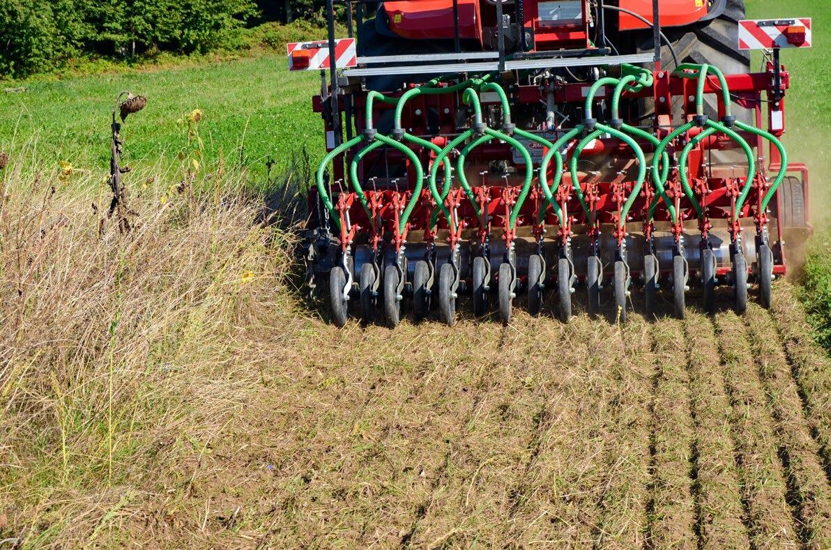 L’incorporation de la végétation en surface favorise la vie du sol, la formation d’humus et offre de bonnes conditions de semis.