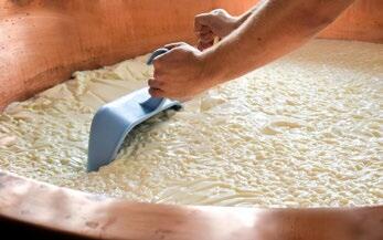 Agroscope fignole un fromage végétal