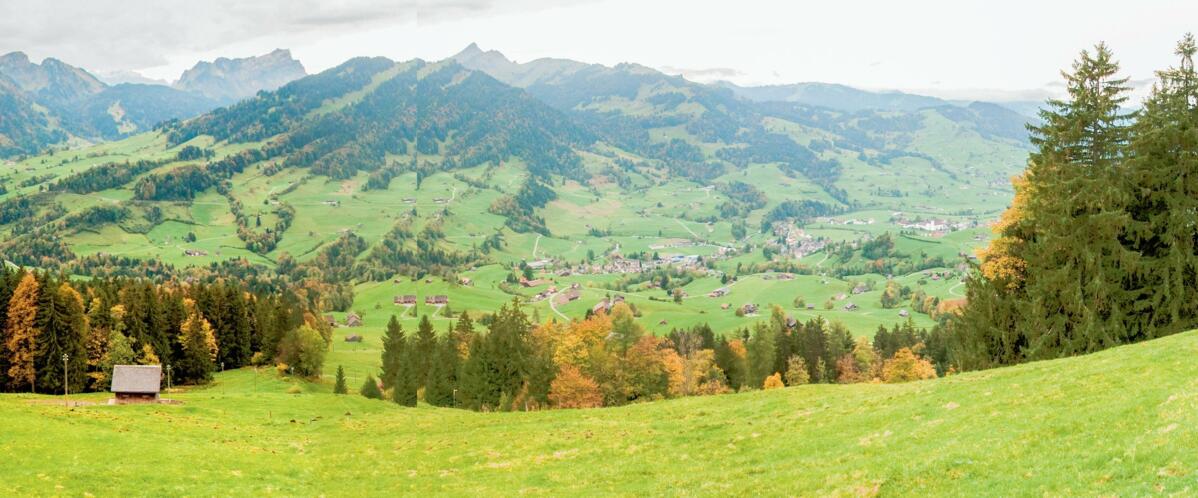 Les co&#xFB;ts de la production laiti&#xE8;re varient selon la zone.&#xA0;