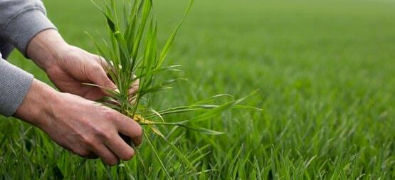 Veränderungen in der Geschäftsleitung