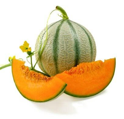 Irr&#xE9;sistiblement d&#xE9;licieux : melons charentais cultiv&#xE9;s au jardin