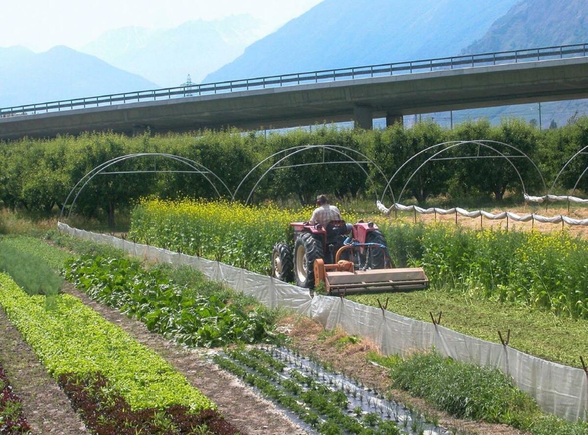 A l’intention de la pratique : la banque de données de Best4Soil permet d’adapter les assolements de manière optimale. 