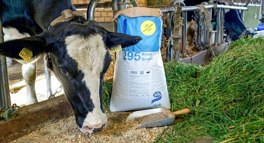 UFA 295 Biotin USCF permet de réduire les émissions de méthane de 10 % et ainsi de préserver le climat.