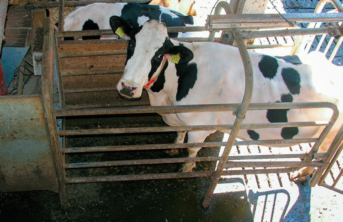 Les syst&#xE8;mes ouverts facilitent l&#x2019;accoutumance au DAC.