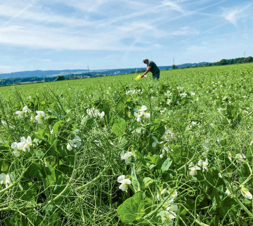 « Nous voulons être en mesure de proposer aux acheteurs des matières premières d’origine suisse » : Jasmin Meile, fenaco...