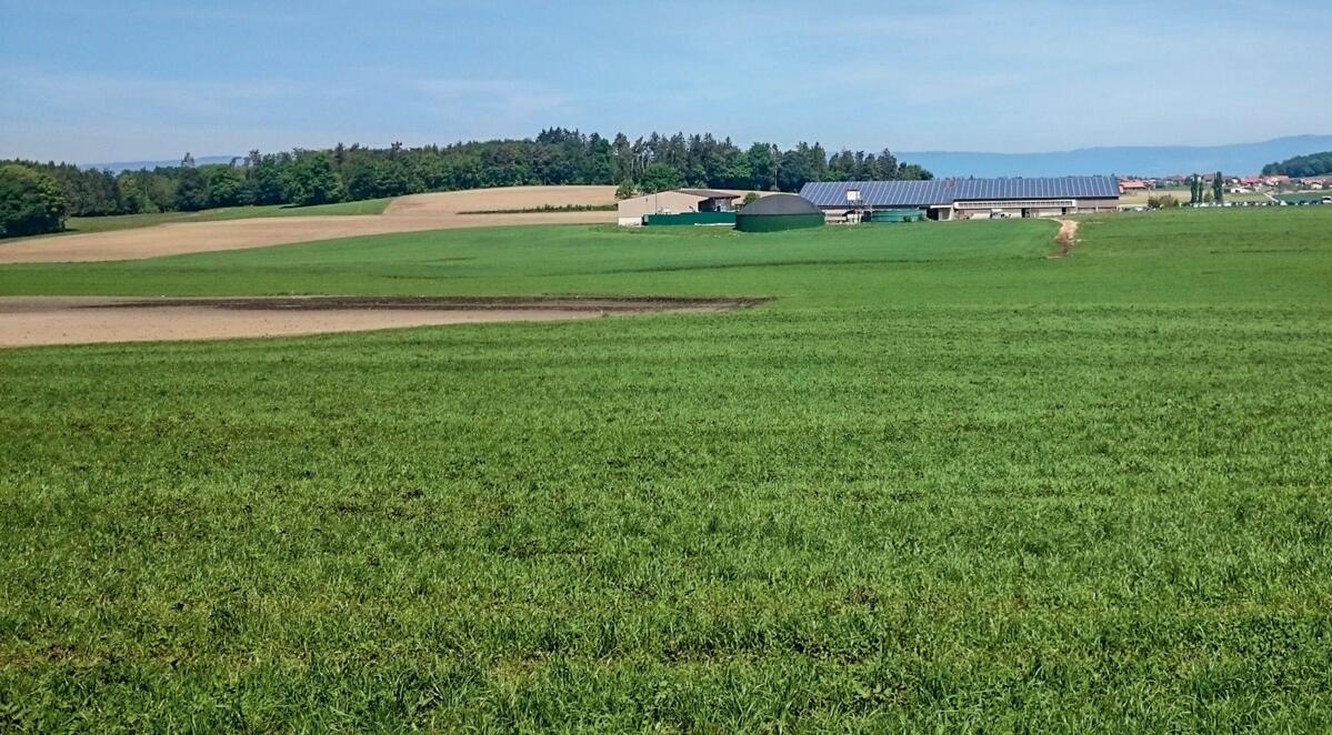 La Journée suisse des grandes cultures bio 2017 se déroulera sur l’exploitation de Frédéric Zosso à Cournillens.