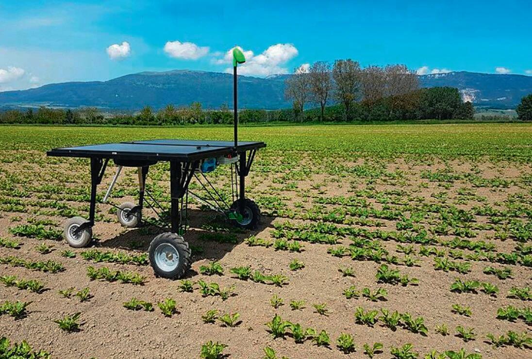 Robot autonome pour le d&#xE9;sherbage des betteraves.&#xA0;