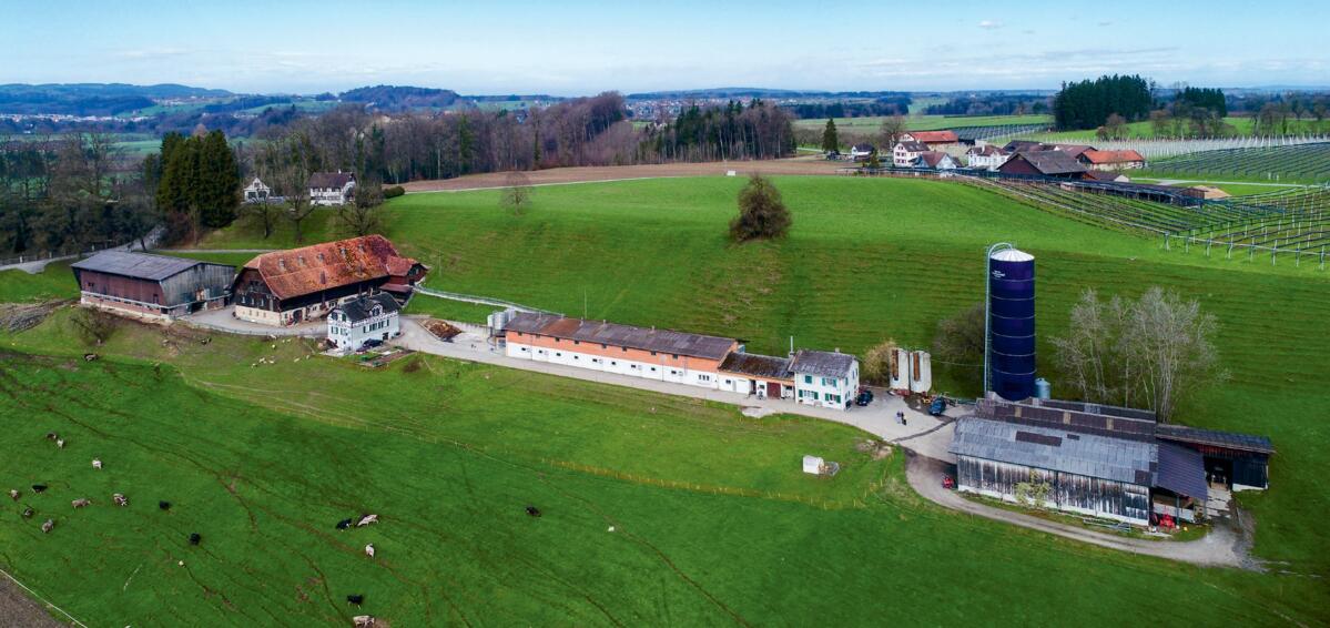 L’exploitation détient, outre les 100 truies mères, 150 remontes, 250 porcs à l’engrais et 60 vaches laitières. 