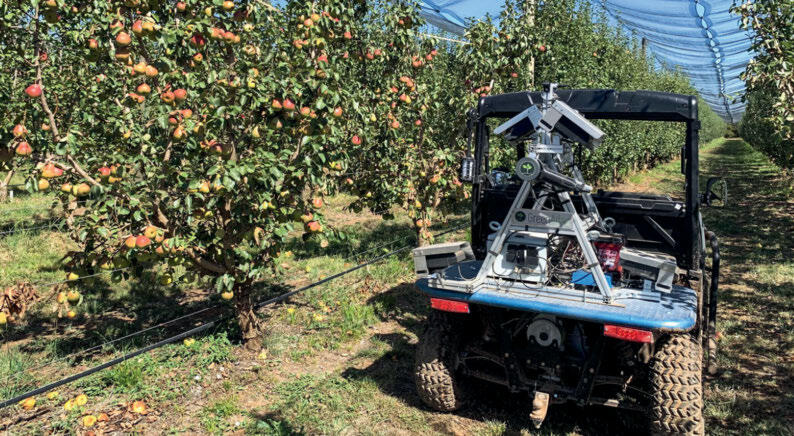 Comptant les fruits &#xE0; tous les stades, le Cartographer accompagne la prise de d&#xE9;cision en mati&#xE8;re d&#x2019;interventions.&#xA0;