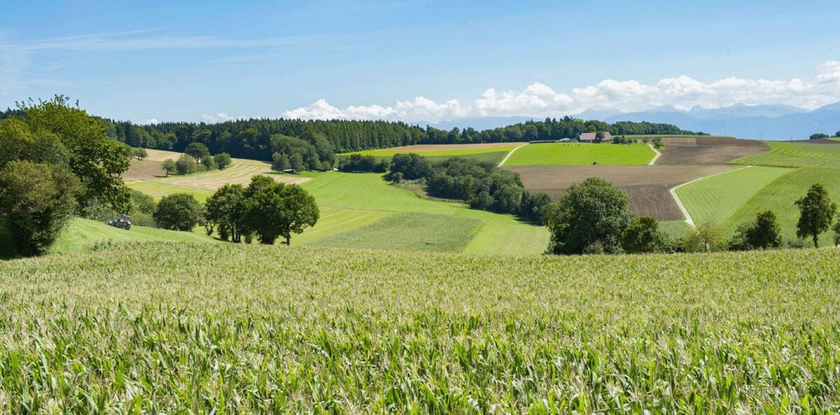 L&#x2019;European Society for Agronomy est un forum ouvert &#xE0; l&#x2019;intention des agronomes travaillant dans la recherche agricole. L&#x2019;ESA...