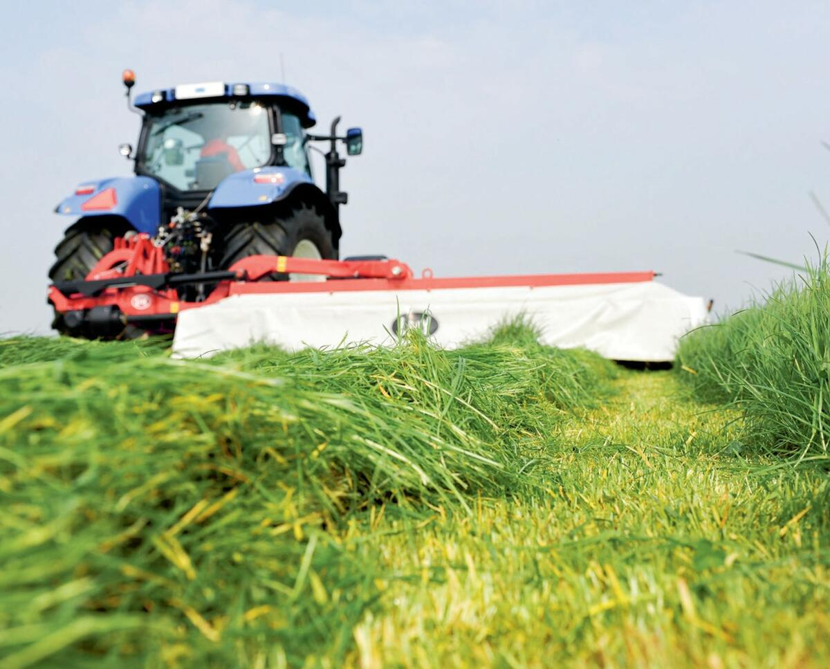 Ernteverfahren und Nährwerte sind je nach Standort sehr unterschiedlich. 