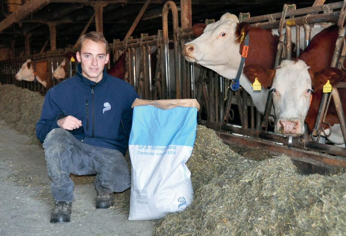 Thibault Studer mise sur UFA 989 Natur Extra durant la phase de tarissement et pour booster les vaches en lactation.
