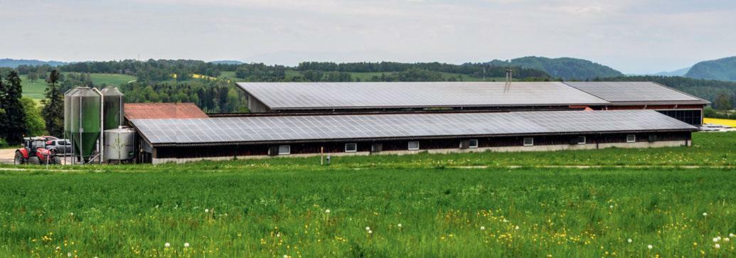 L’énergie des panneaux photovoltaïques et l’installation de biogaz à l’arrière-plan représentent une branc...