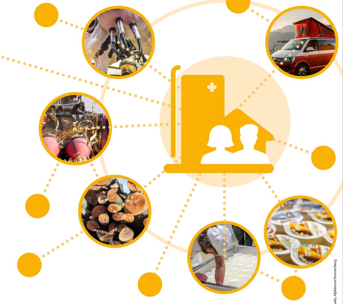 La diversité, garante du futur