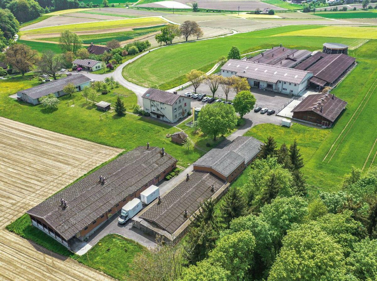 UFA-B&#xFC;hl m&#xE8;ne des recherches en vue de produire des aliments alliant efficience, viabilit&#xE9; &#xE9;conomique et respect des animaux.&#xA0;