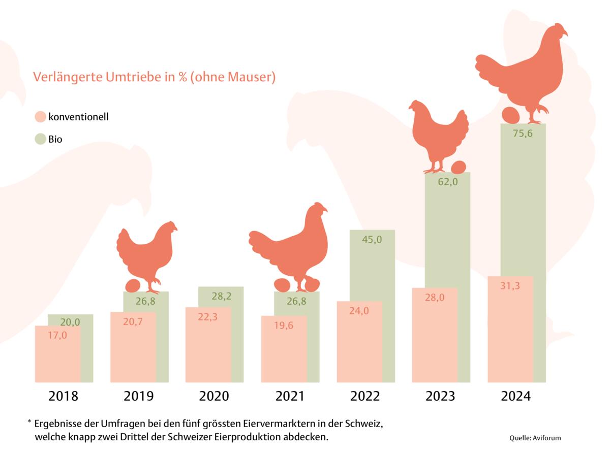 Ab in die Verlängerung