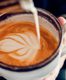 Sind Pflanzendrinks eine Alternative zu Milch?