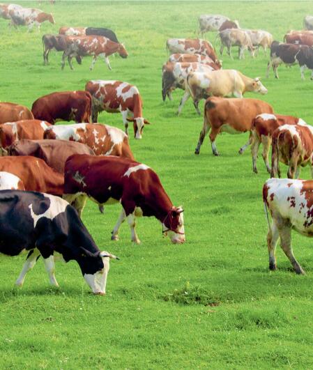 Zur Erntezeit nach Ostkanada