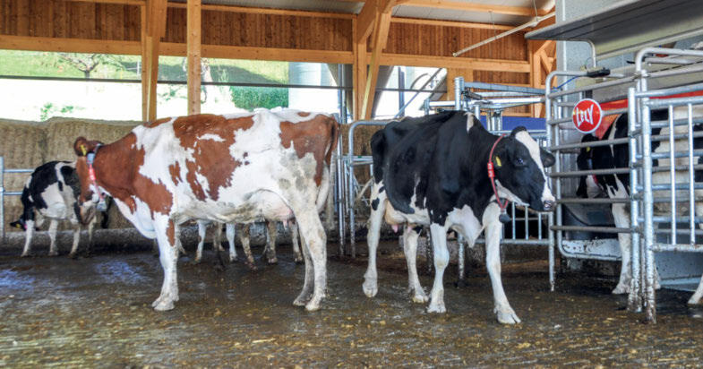 De nouvelle fonctionnalit&#xE9;s sont int&#xE9;gr&#xE9;es dans l&#x2019;Astronaut A5 Next.