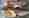combined_7624182_0_7624183_0.jpg