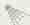alt_text