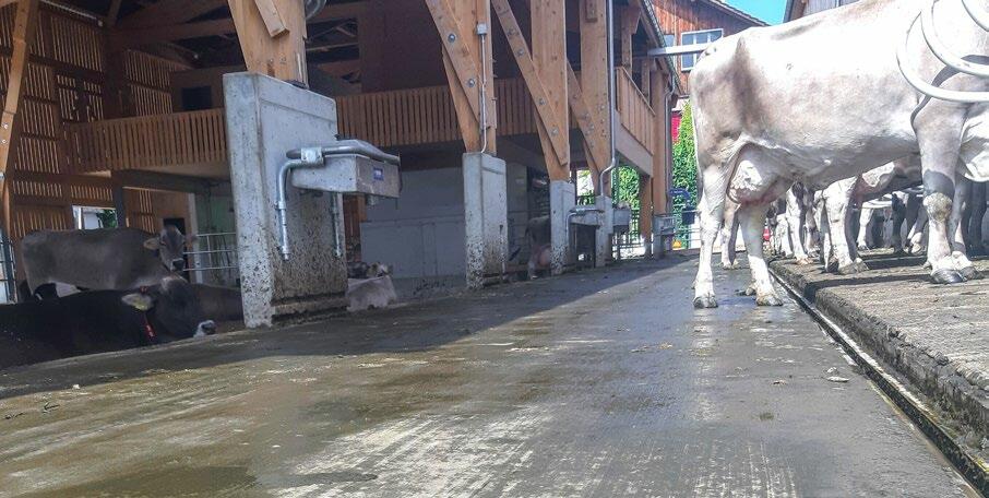 Pour r&#xE9;duire les &#xE9;missions efficacement, l&#x2019;urine doit pouvoir s&#x2019;&#xE9;couler continuellement et rapidement ; par exemple avec un...