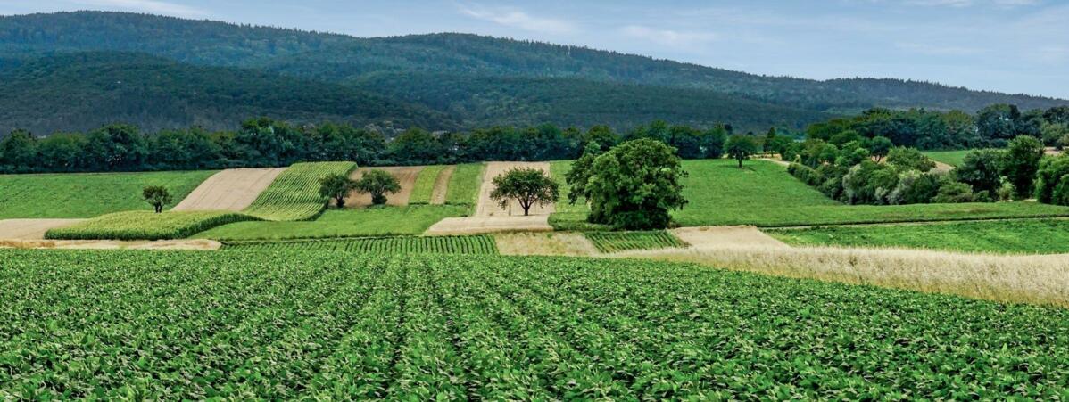 Das Resultat erfolgreicher Vernetzung landwirtschaftlicher Betriebe.&#xA0;