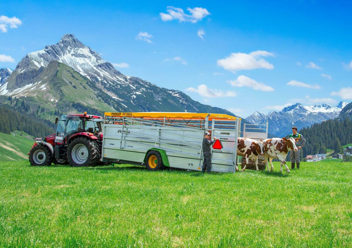 Sicherheit beim Viehtransport