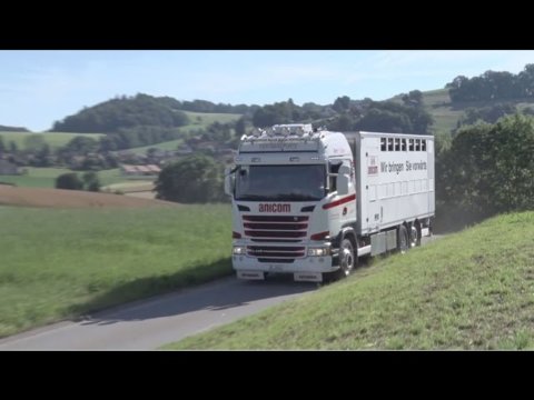 Anicom SA: Nouvelles solutions dans le transport des animaux