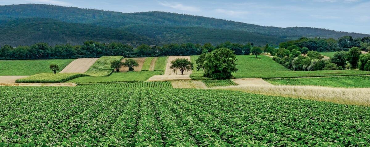 Le r&#xE9;sultat d&#x2019;une mise en r&#xE9;seau r&#xE9;ussie entre agriculteurs.&#xA0;