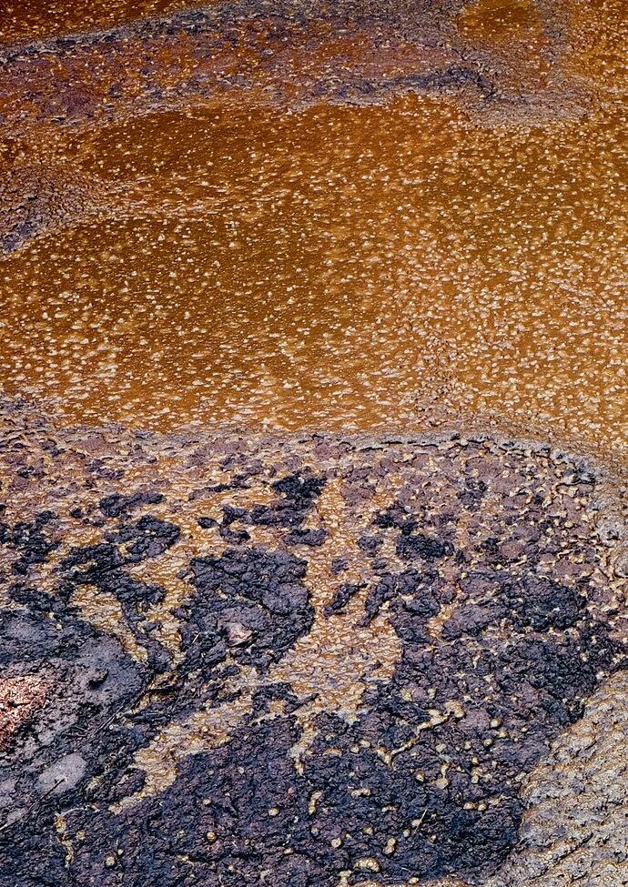 Les gaz toxiques sont surtout produits&#xA0;


lors du brassage du lisier.&#xA0;