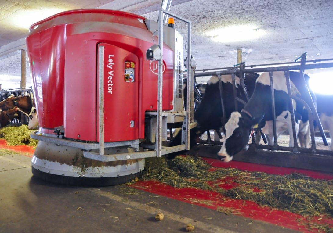 Der Lely Vector mischt, misst und schiebt. Er wird automatisch befüllt und verteilt das Futter bedarfsgerecht an die Tiere.